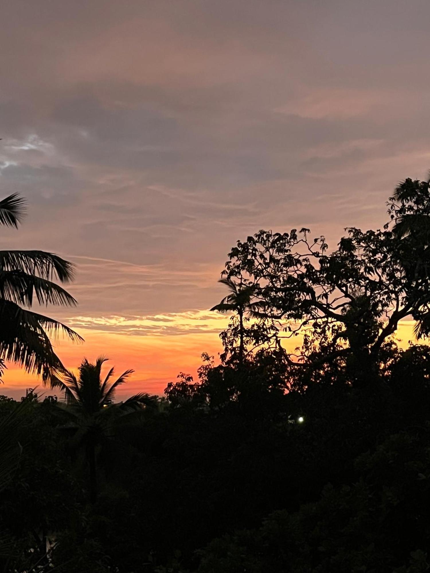 Green Nest Hostel, Baga- North Goa Arpora Esterno foto