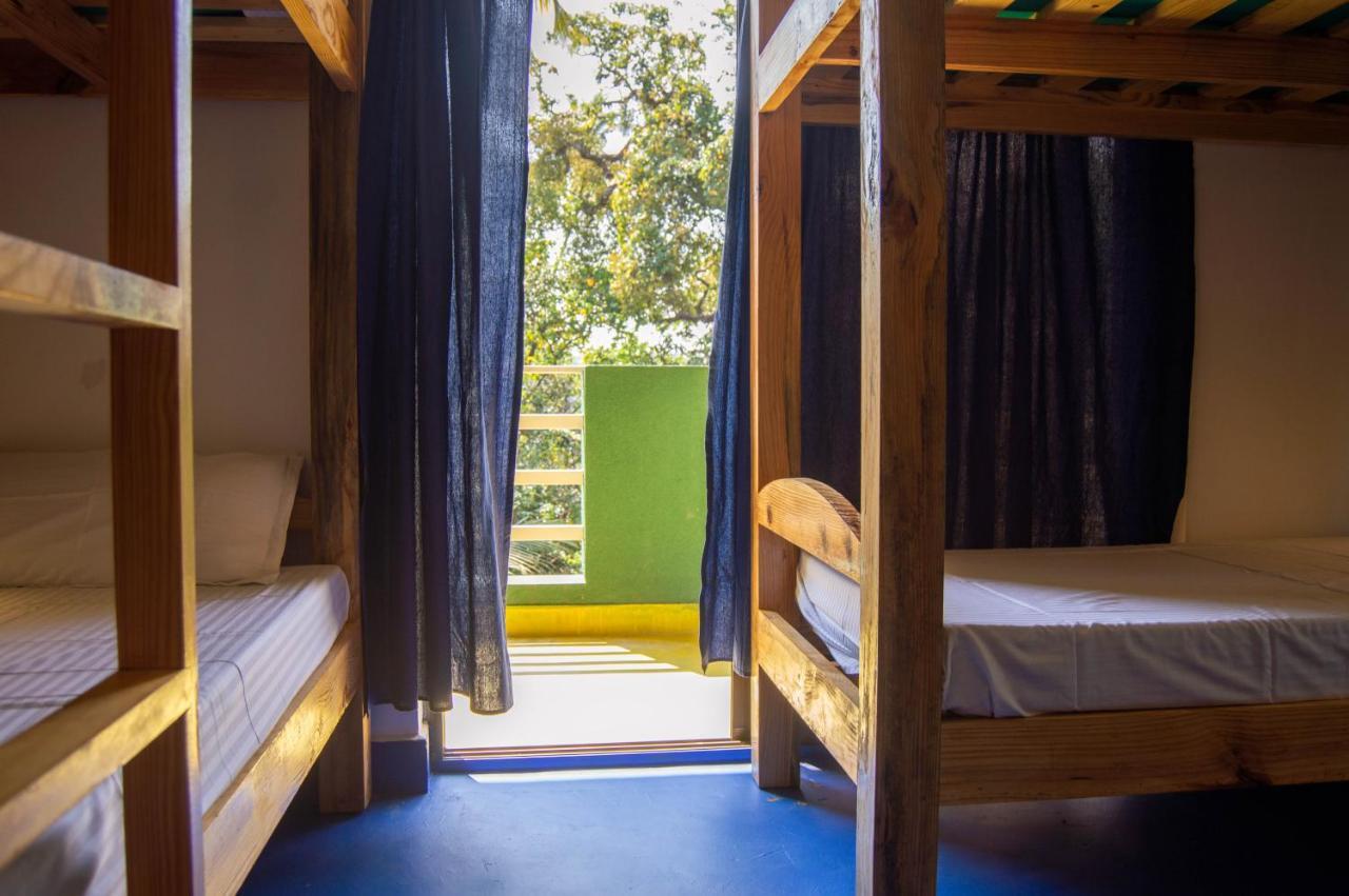 Green Nest Hostel, Baga- North Goa Arpora Esterno foto